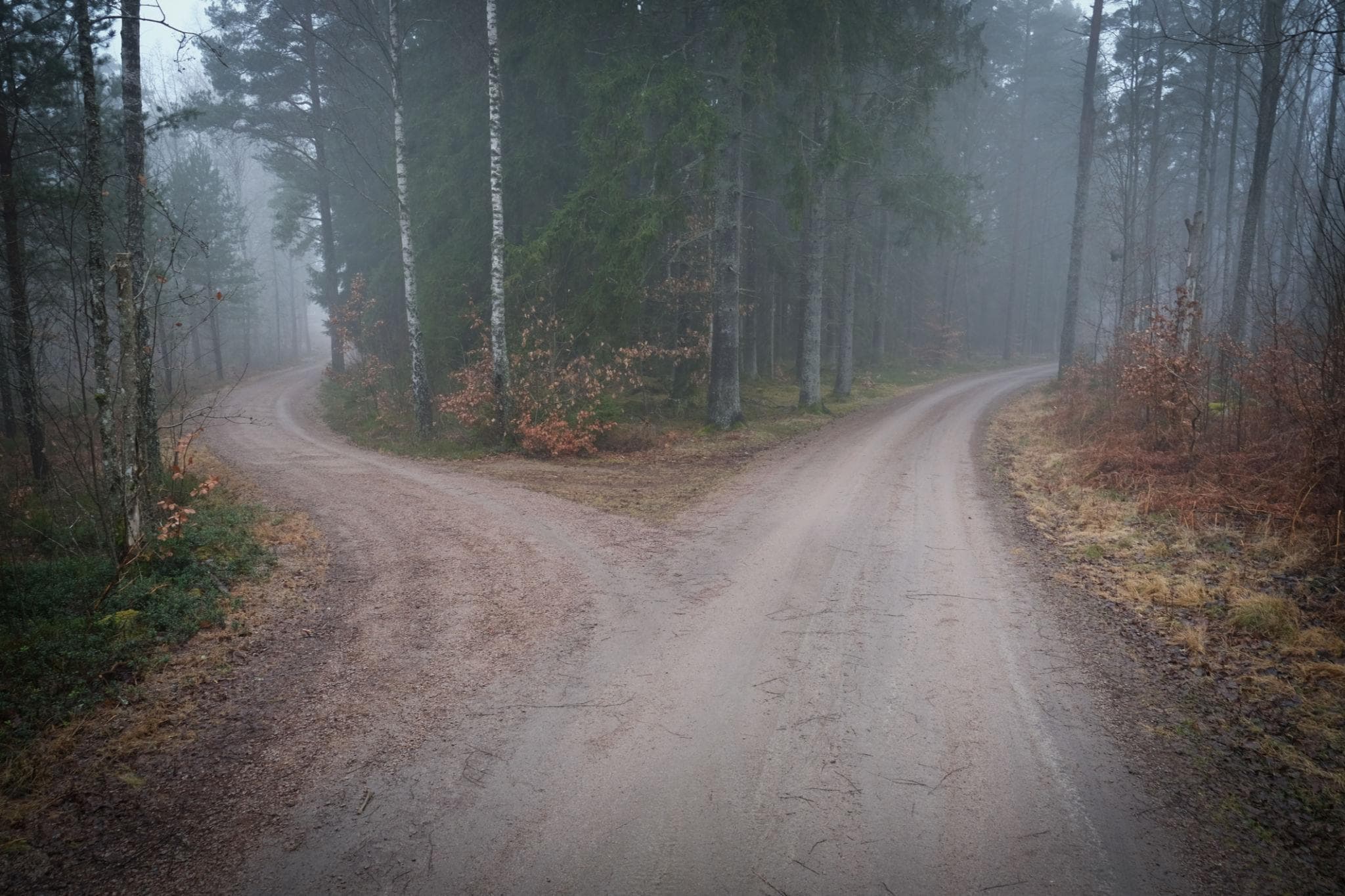 AI-assisted development: speed with structure so velocity works in your favor